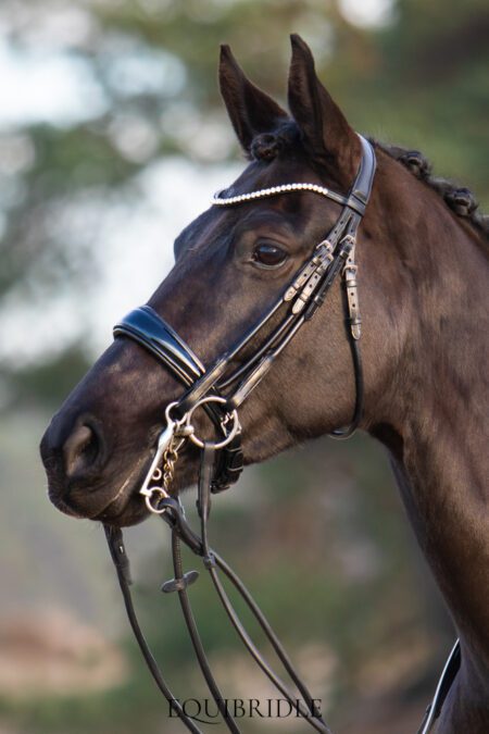 Equibridle stang en trens hoofdstel Sandreo - zwart lak