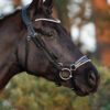 Equibridle anatomisch hoofdstel Siro - wit lak