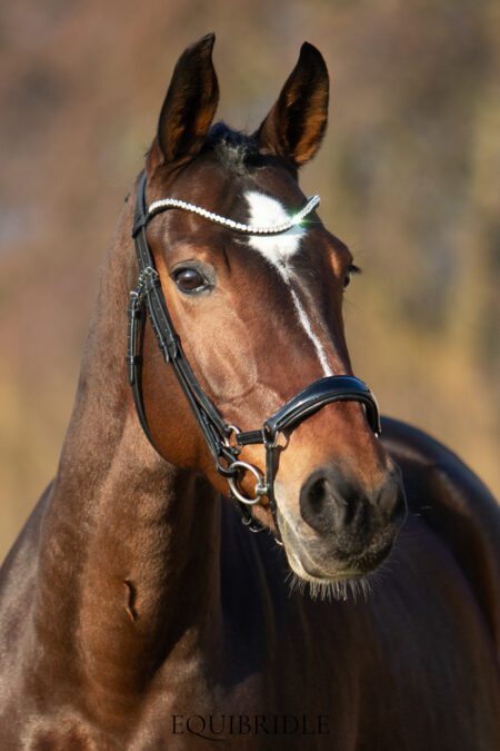 Equibridle anatomisch hoofdstel Siro - zwart lak