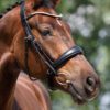 Equibridle anatomisch hoofdstel Tango - zwart soft