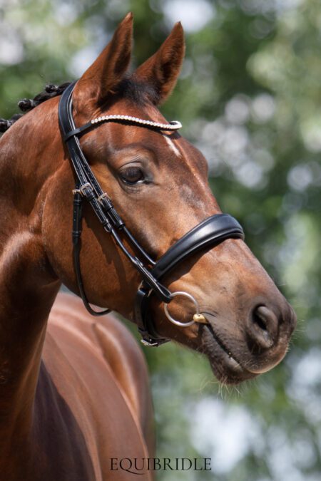 Equibridle anatomisch hoofdstel Tango - zwart soft