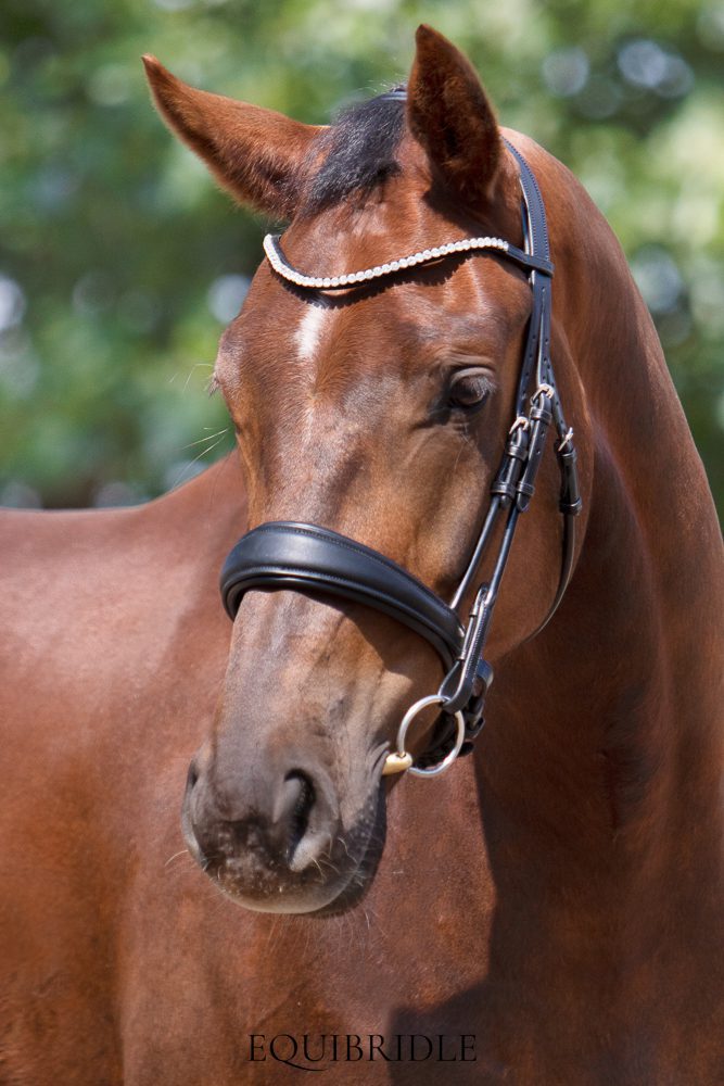 Equibridle anatomisch hoofdstel Tango - zwart soft - Afbeelding 3