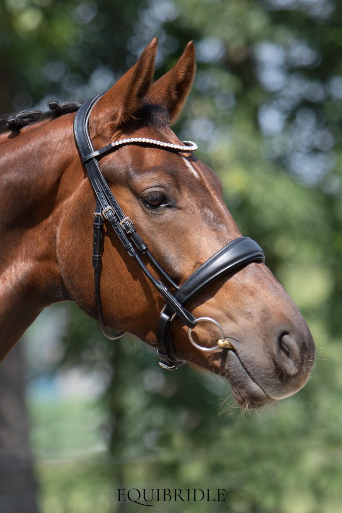 Equibridle anatomisch hoofdstel Tango - zwart soft - Afbeelding 4