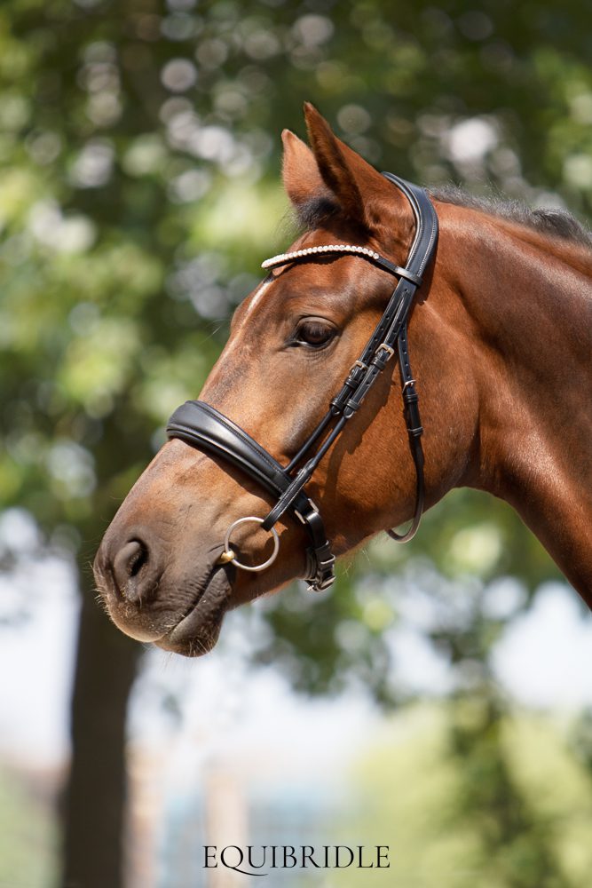 Equibridle anatomisch hoofdstel Tango - zwart soft - Afbeelding 5