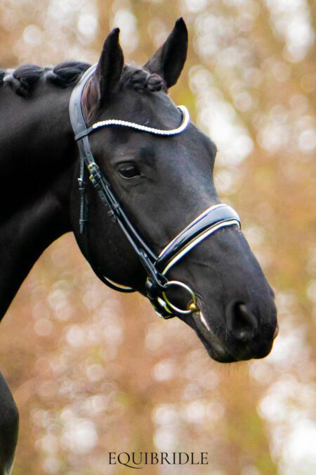 Equibridle anatomisch hoofdstel Tango - wit lak
