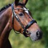 Equibridle anatomisch hoofdstel Tango - zwart lak