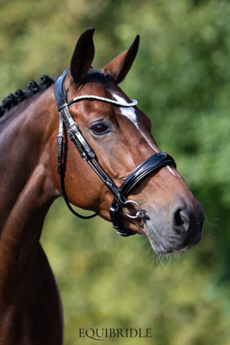 Equibridle anatomisch hoofdstel Tango - zwart lak