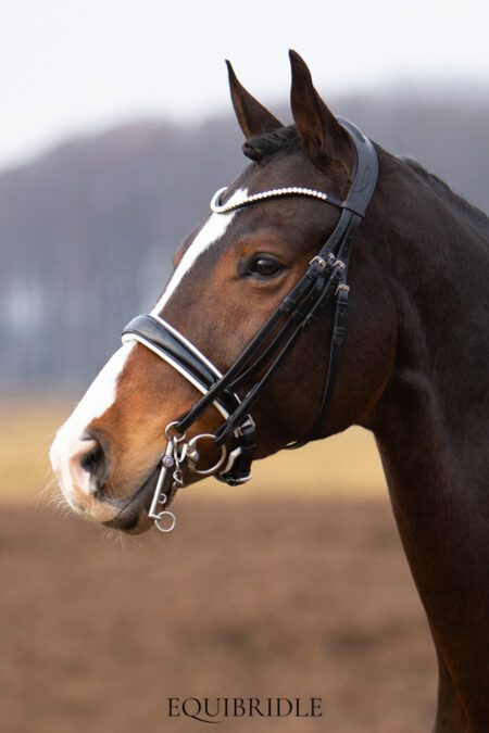Equibridle stang en trens hoofdstel Vivaldi - wit lak