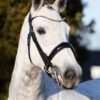 Equibridle stang en trens hoofdstel Vivaldi - zwart lak