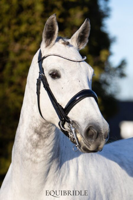 Equibridle stang en trens hoofdstel Vivaldi - zwart lak