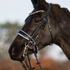 Equibridle stang en trens hoofdstel Wynton - wit lak