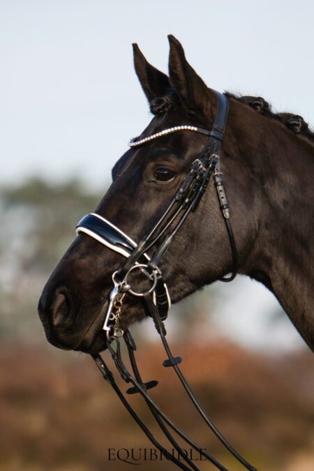 Equibridle stang en trens hoofdstel Wynton - wit lak