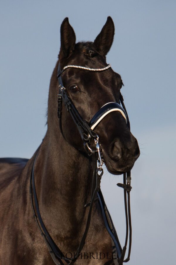 Equibridle stang en trens hoofdstel Wynton - wit lak - Afbeelding 5