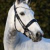 Equibridle stang en trens hoofdstel Wynton - zwart lak