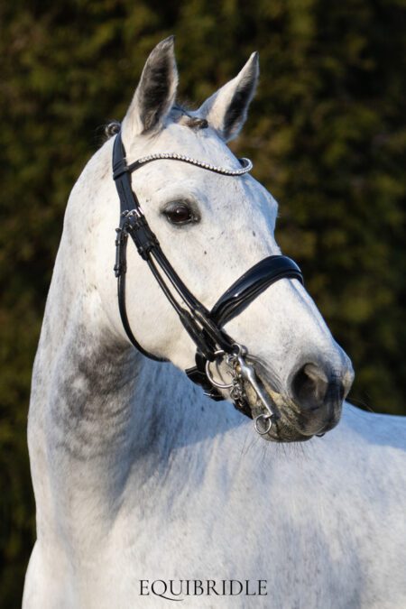 Equibridle stang en trens hoofdstel Wynton - zwart lak