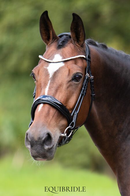 Equibridle anatomisch hoofdstel Zippo - zwart lak