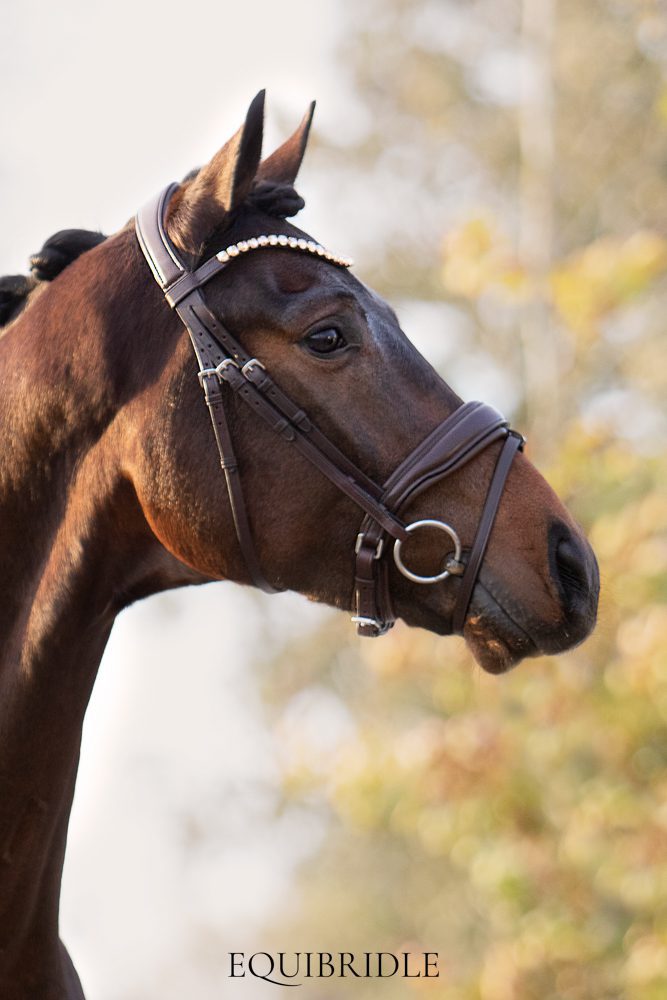 Equibridle anatomisch hoofdstel Zonik - bruin - Afbeelding 5