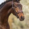 Equibridle anatomisch hoofdstel Zonik - bruin