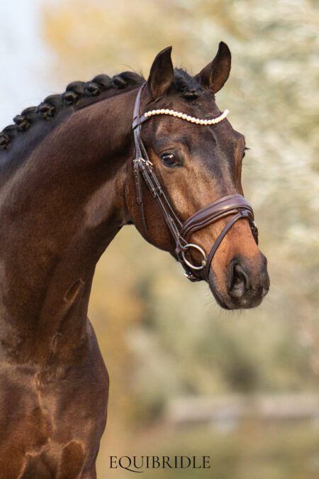 Equibridle anatomisch hoofdstel Zonik - bruin