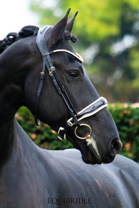 Equibridle anatomisch hoofdstel Zippo - wit lak