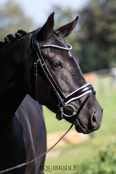 Equibridle anatomisch hoofdstel Zonik - wit normaal