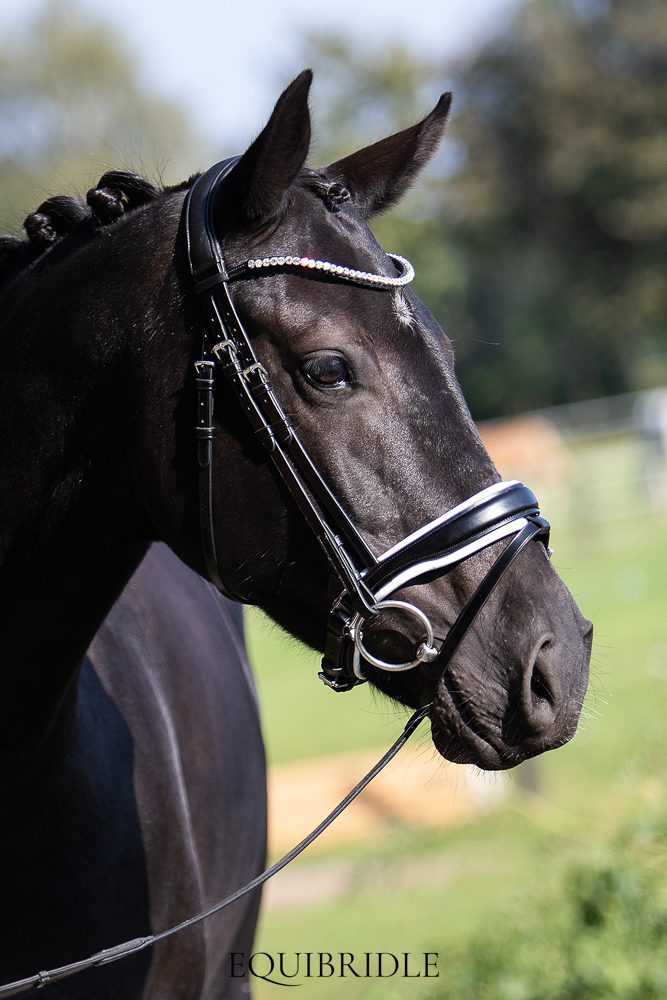 Equibridle anatomisch hoofdstel Zonik - wit normaal