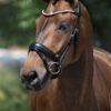 Equibridle anatomisch hoofdstel Zonik - zwart soft