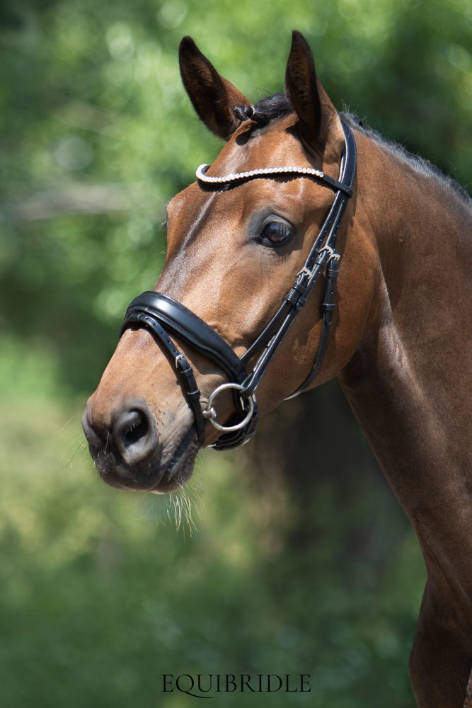 Equibridle anatomisch hoofdstel Zonik - zwart soft - Afbeelding 3