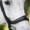 Equibridle hoge neusriem Jameson - zwart soft