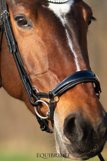 Equibridle anatomische lage neusriem Siro - zwart lak