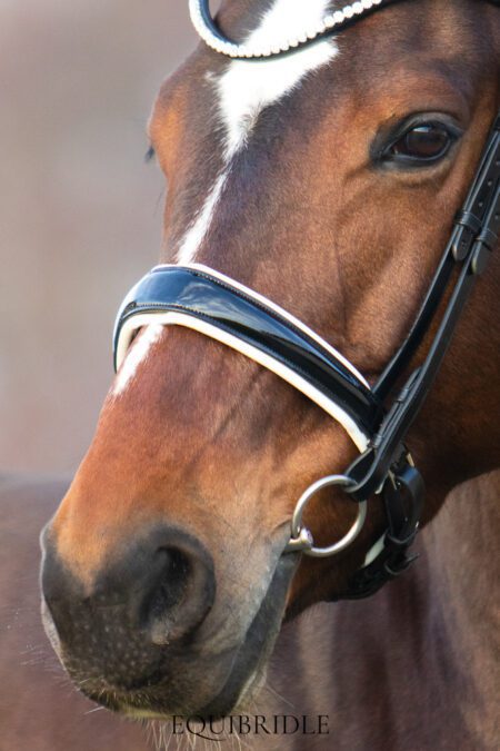 Equibridle hoge neusriem Lennox - wit lak