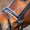 Equibridle gecombineerde neusriem Merlot - wit lak