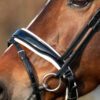 Equibridle gecombineerde neusriem Zonik - wit lak