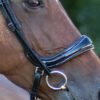 Equibridle hoge neusriem Jameson - zwart lak