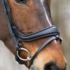 Equibridle gecombineerde neusriem Kingston - zwart soft