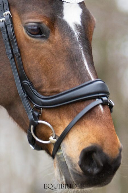 Anatomische neusriemen