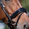 Equibridle gecombineerde neusriem Apache - zwart lak
