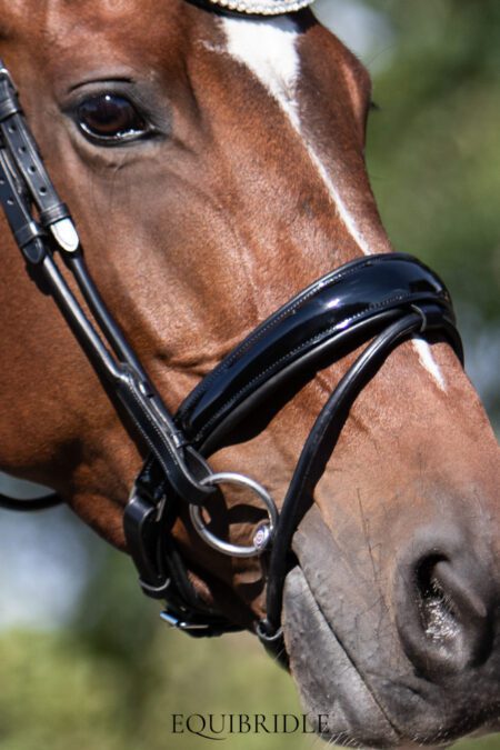 Equibridle gecombineerde neusriem Apache - zwart lak