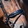 Equibridle gecombineerde neusriem Nadine - zwart lak