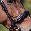 Equibridle hoge neusriem Zippo - zwart lak