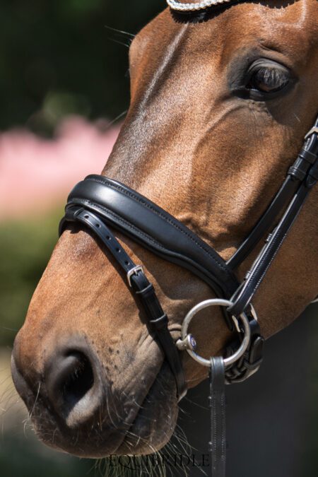 Equibridle gecombineerde neusriem Zonik - zwart soft