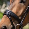 Equibridle gecombineerde neusriem Armani - zwart patroon