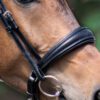 B-keuze! Equibridle hoge neusriem Arlando - zwart patroon