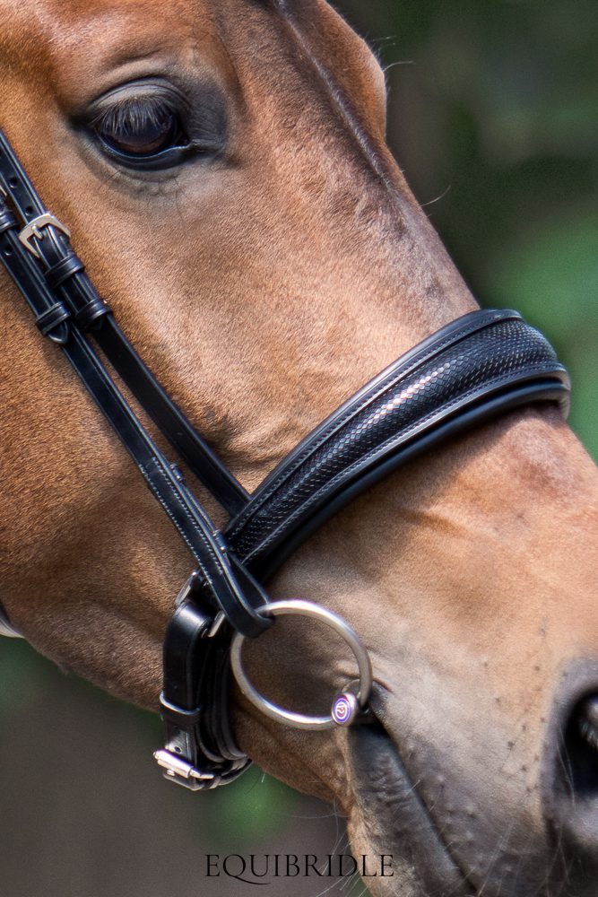 B-keuze! Equibridle hoge neusriem Arlando - zwart patroon
