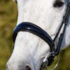 B-keuze! Equibridle hoge neusriem Lennox - zwart lak