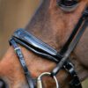 Equibridle gecombineerde neusriem Zonik, zwart lak