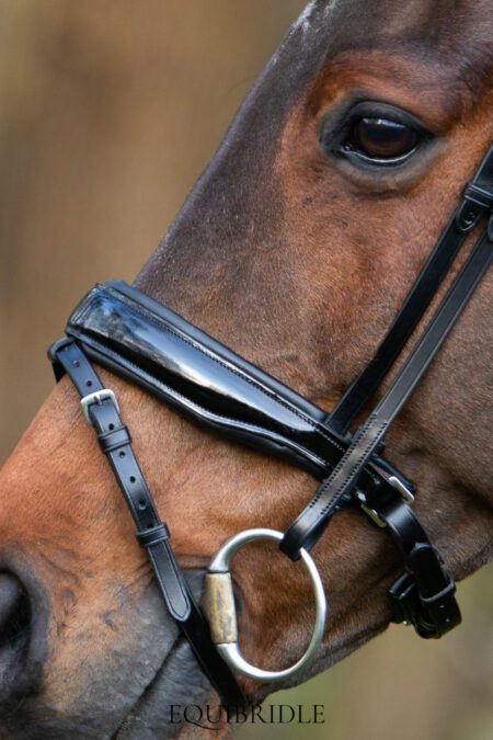 Equibridle gecombineerde neusriem Zonik, zwart lak