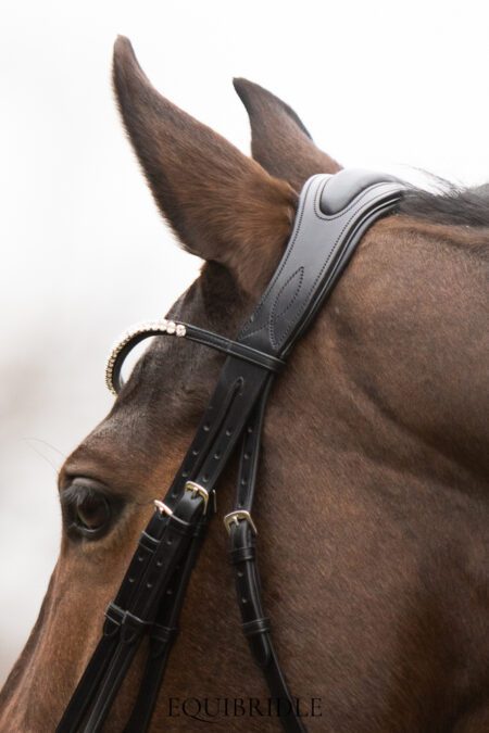 S&T anatomisch breed kopstuk