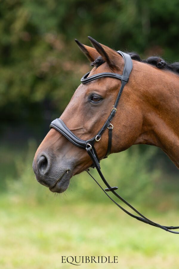 Equibridle bitloos combinatie hoofdstel Wendy - zwart
