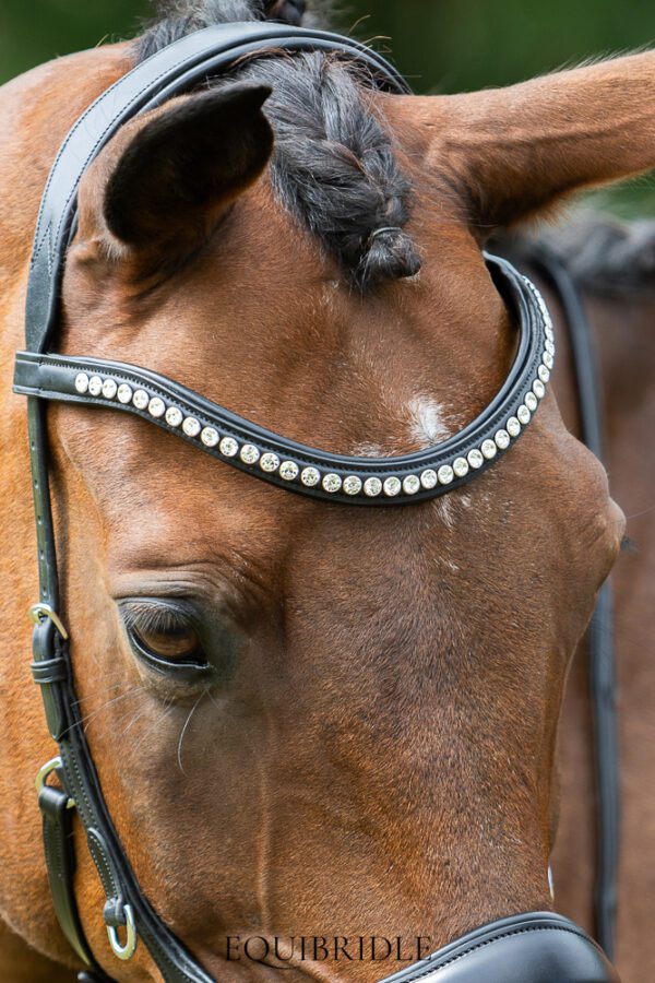 Equibridle bitloos combinatie hoofdstel Wendy - zwart - Afbeelding 10